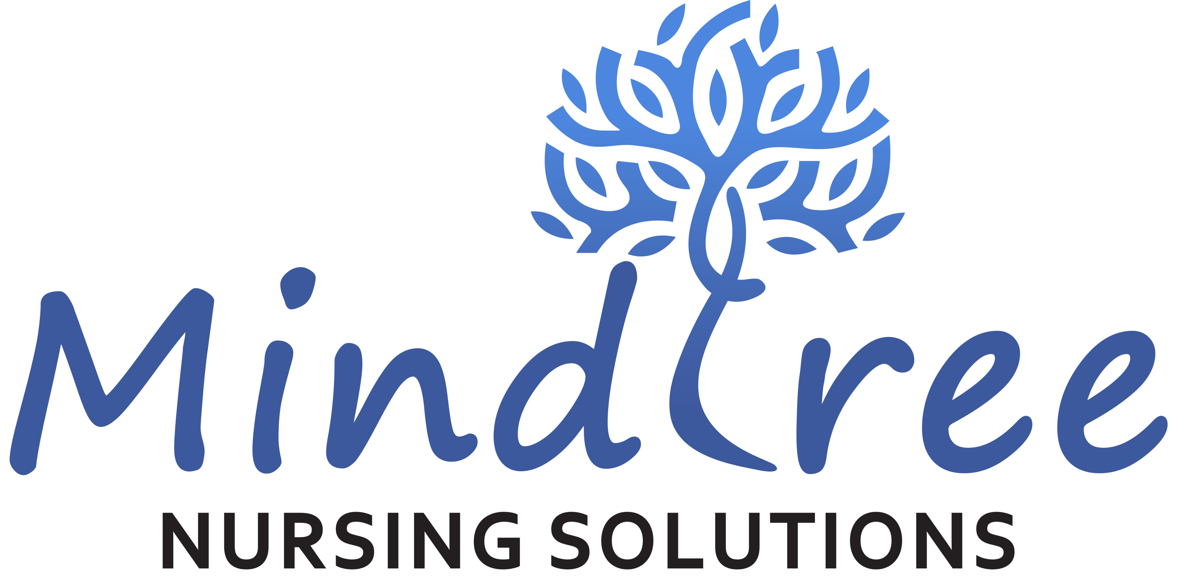 Mindtree Nursing Solutions