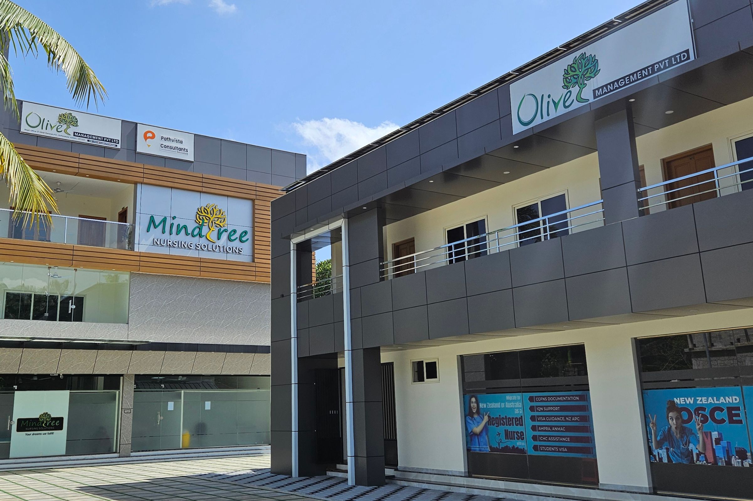 What is Mindtree Nursing Solution — overview of services for internationally qualified nurses